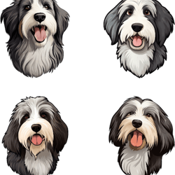Cute Bearded Collie Happy Realistic