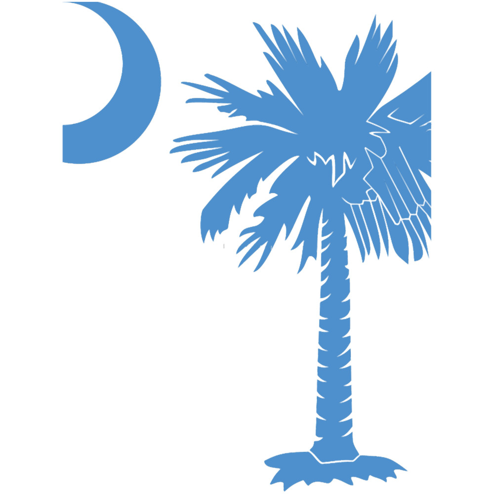 Light Blue Palmetto Moon .png