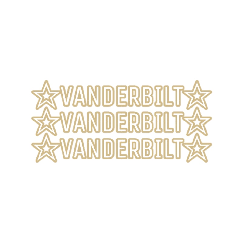 Vanderbilt.png