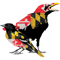 Maryland Flag Birds.png