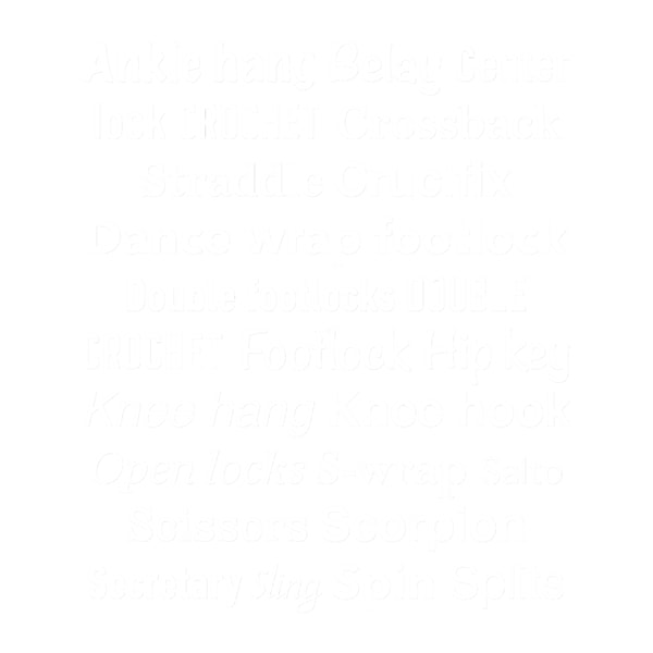 Aerial Silks - Silk Speak - White design .png