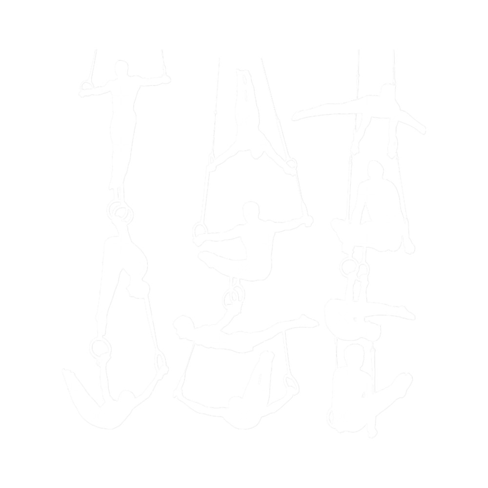 Gymnsatics Pattern .png