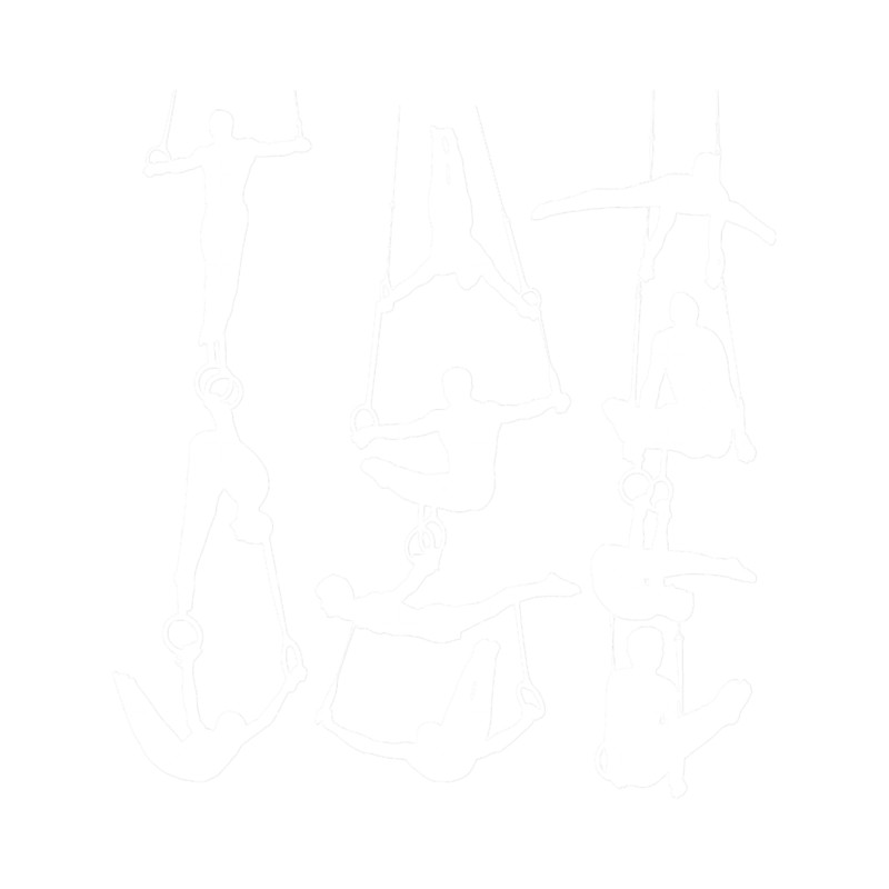 Gymnsatics Pattern .png