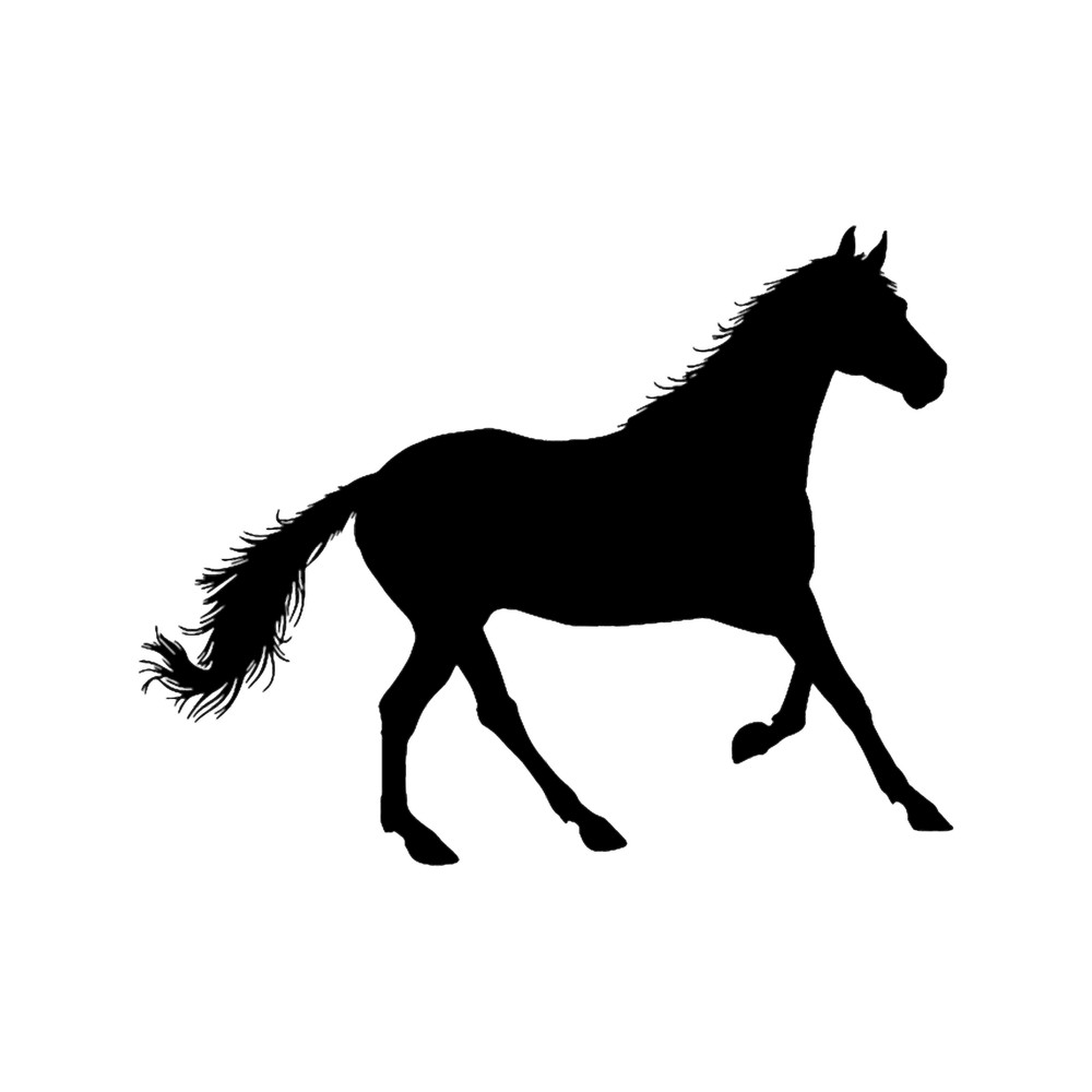 BLACK PONY.png