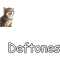 Deftones cat.png