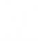 WHITE PONY (5).png