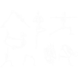 yoga poses skeletons fitness meditation guide gift