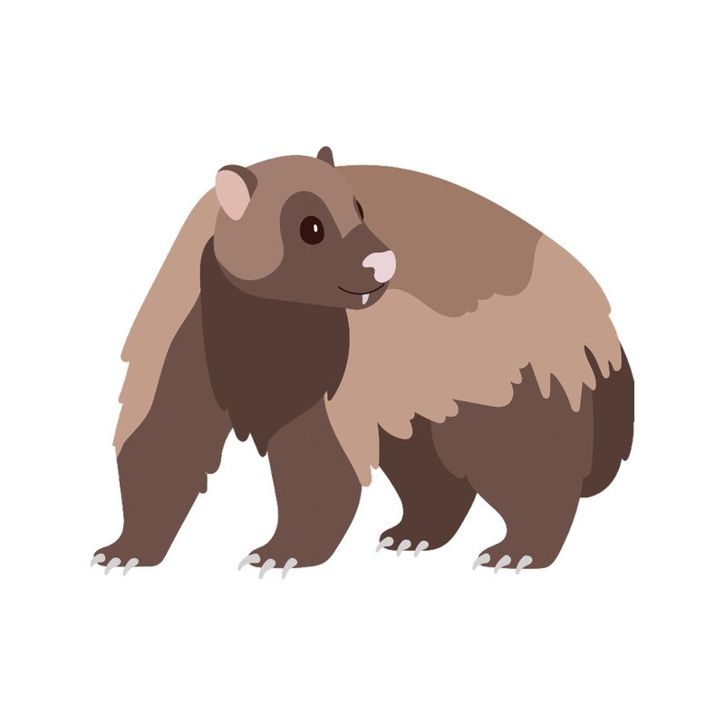 Wolverine Cute Kawaii Cartoon Illustration For Kids .png