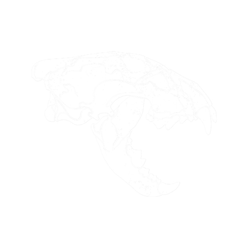 Wolverine skull .png