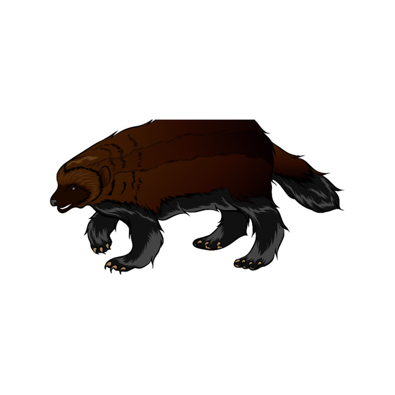 Wolverine(4).png