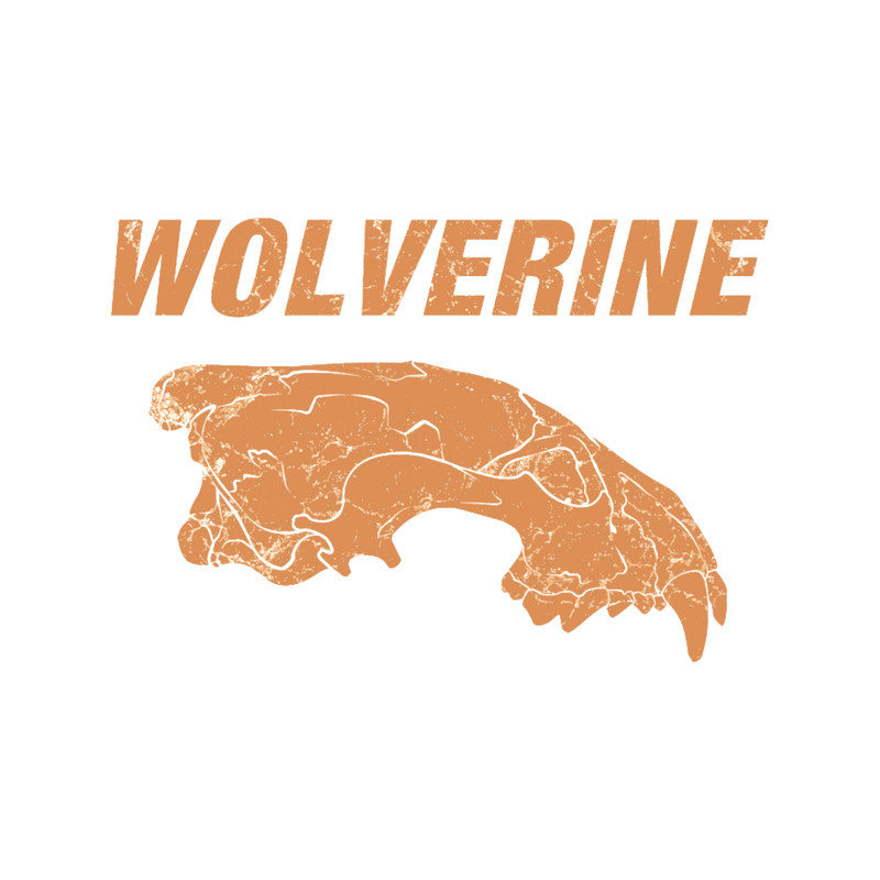 Wolverine(9).png