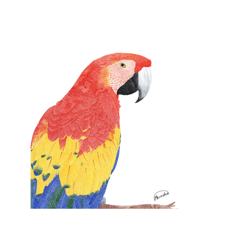 King Crimson Classic .png