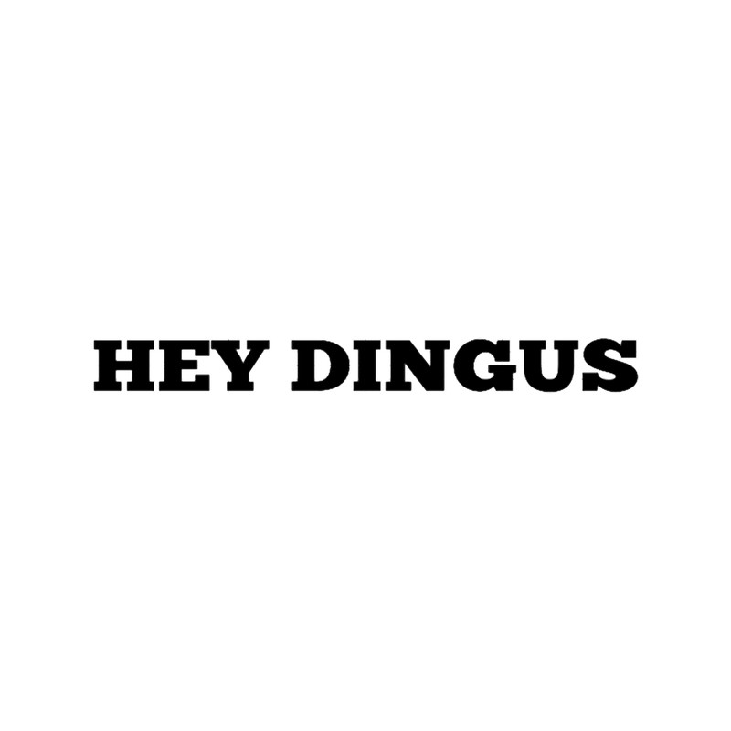 Hey dingus - Robin - inspired by Stranger Things, Netflix.png