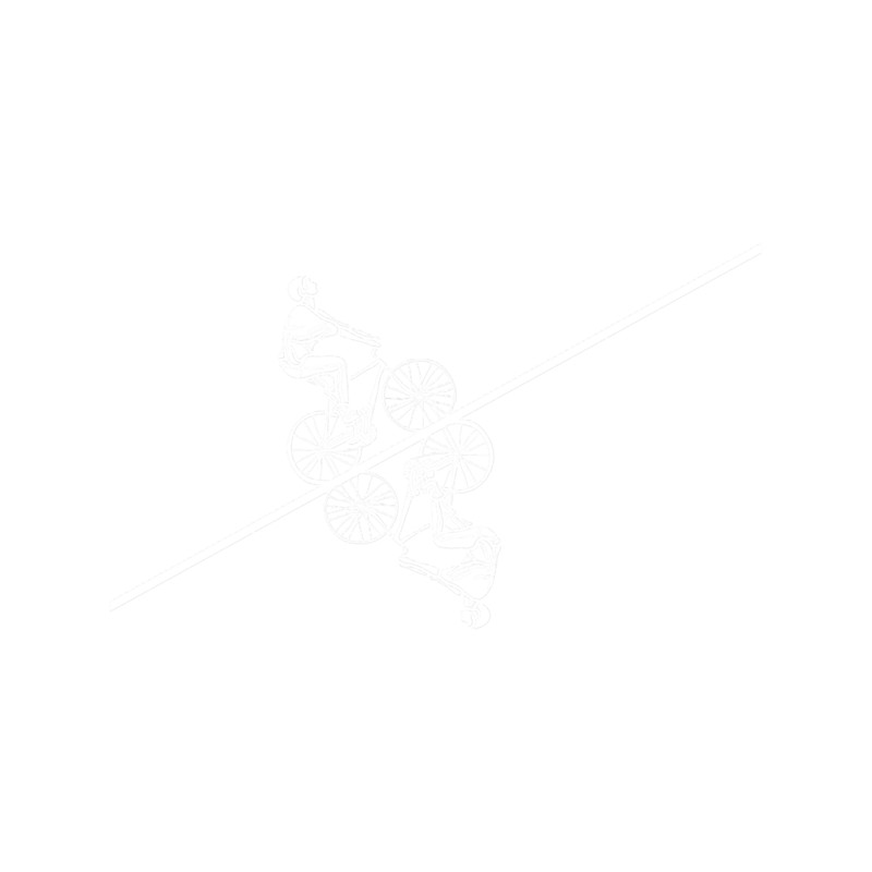 Stranger things cycling upside down.png