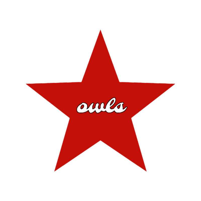 FAU Owls Star Design.png