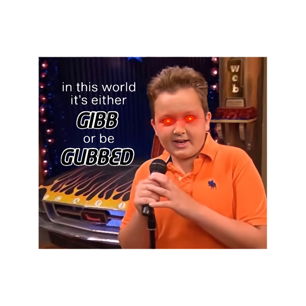 Gibby Rules to Follow.png