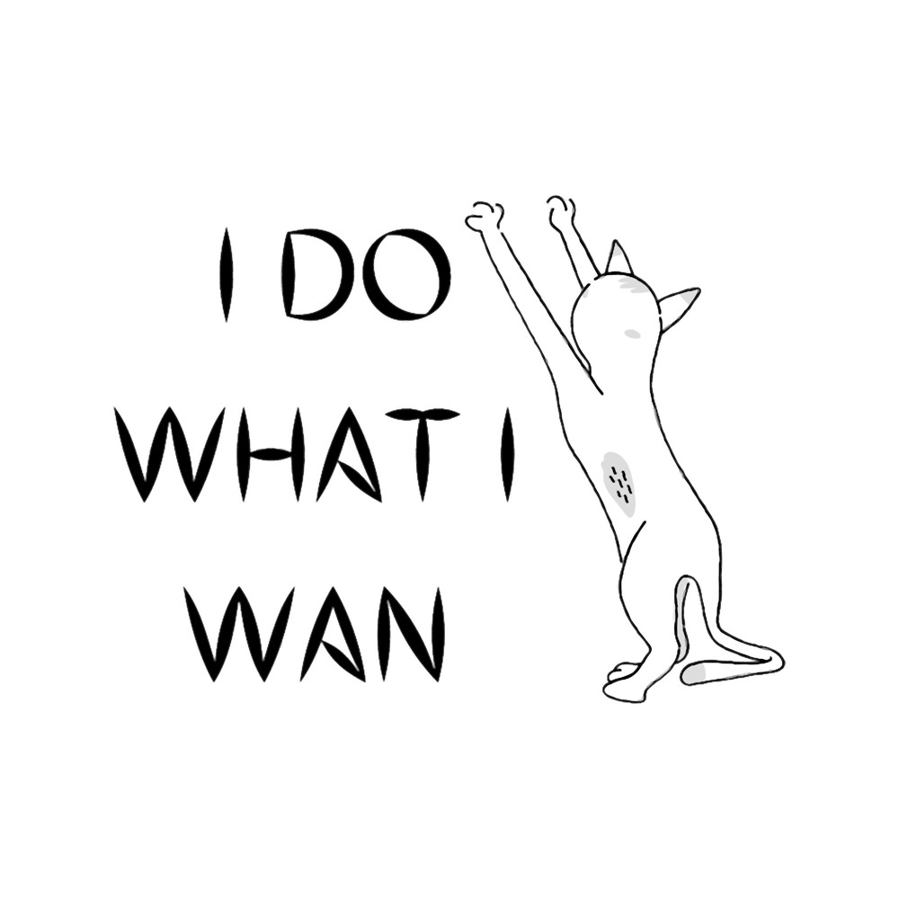 I Do What I Wan .png