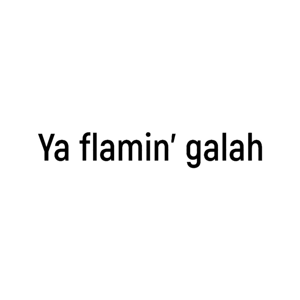 Ya flamin_ galah (1).png