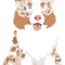 Chibi RED MERLE AUSTRALIAN SHEPHERD  .png