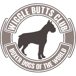 wiggle butts club boxer dogs of the world funny dog