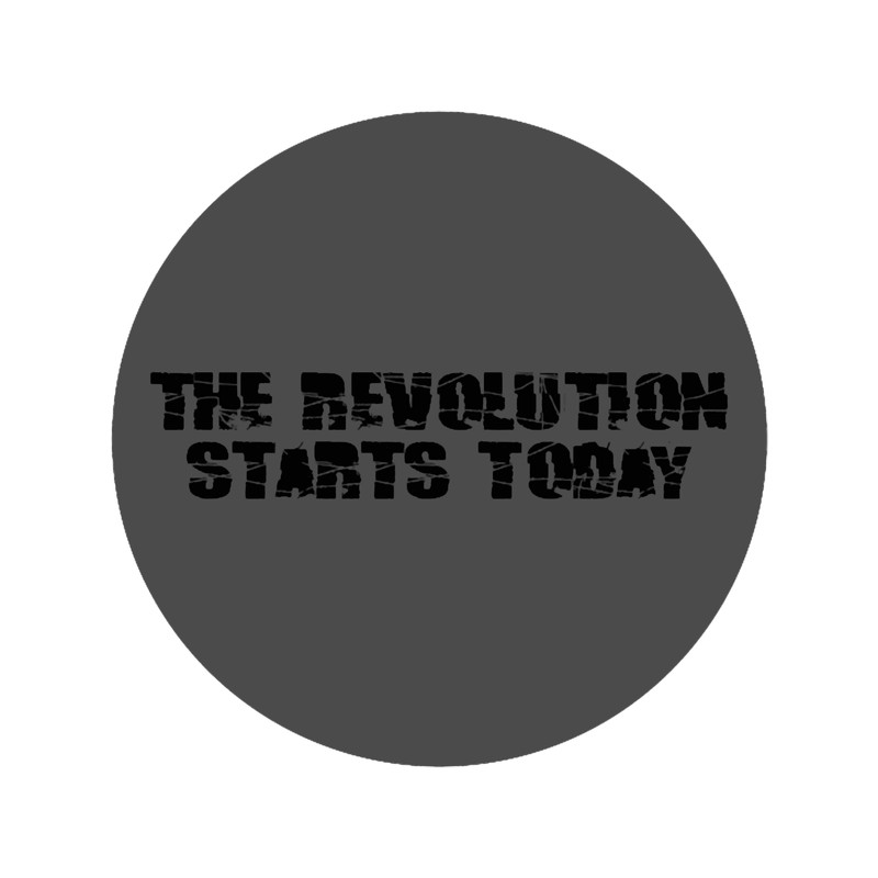 political revolution fuck the system .png