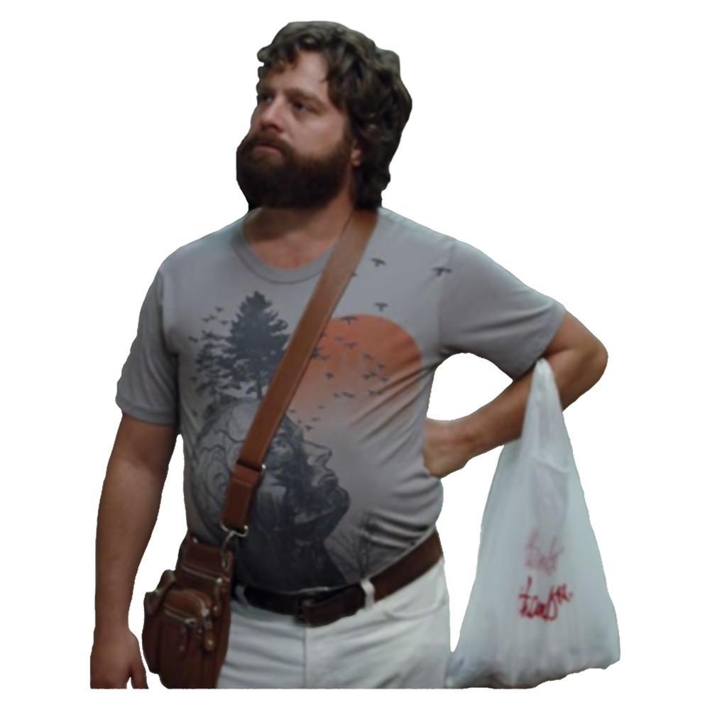 alan from the hangover.png