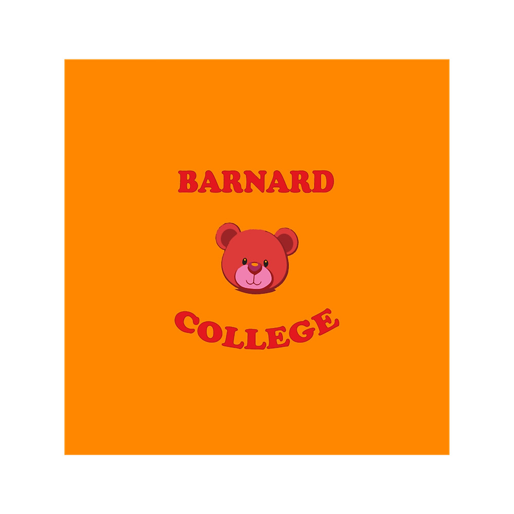 BARNARD COLLEGE RED Chiffon Top.png
