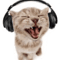 Kitten with headphones.png