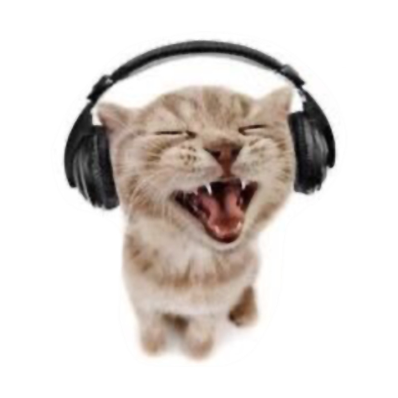 Kitten with headphones.png