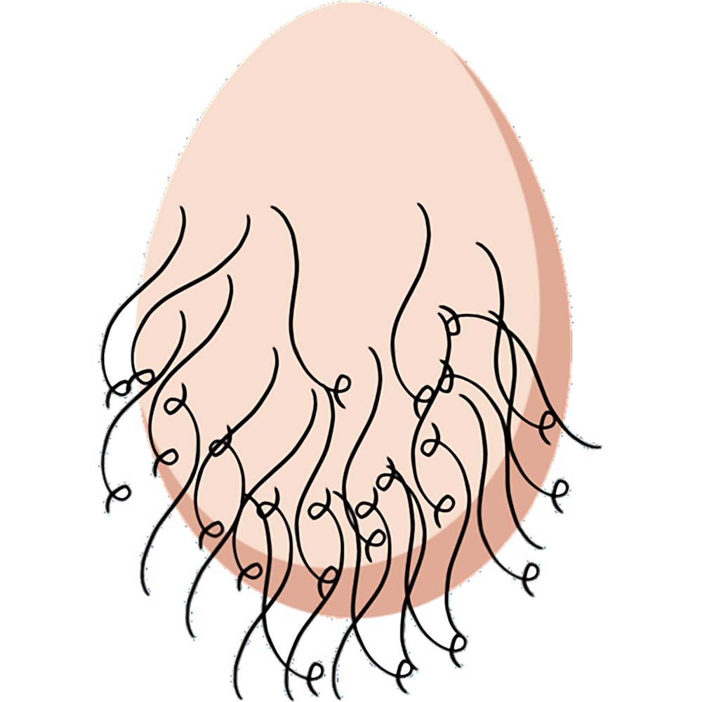 The Testicles _amp_ Ball Sack. Active .png