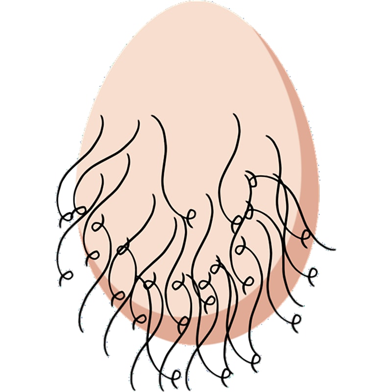 The Testicles _amp_ Ball Sack. Active .png