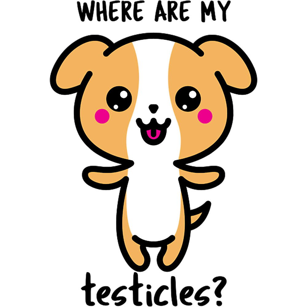 Where Are My Testicles.png