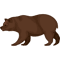 Bear Animal (11).png