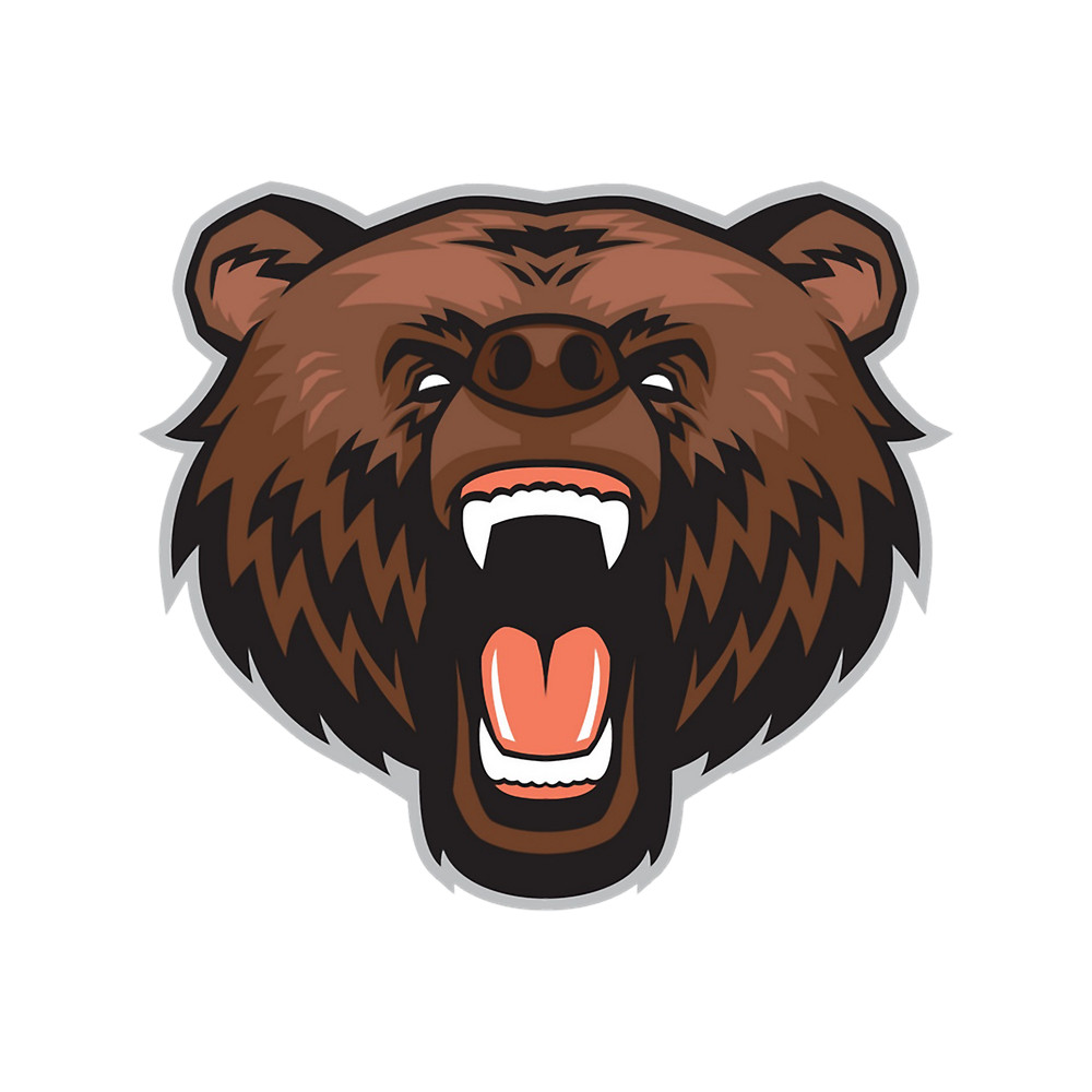 Bear Animal (13).png