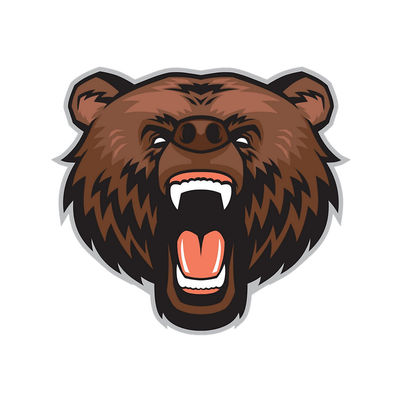 Bear Animal (13).png