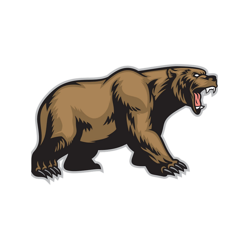 Bear Animal(8).png