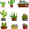 Cacti and succulents.png