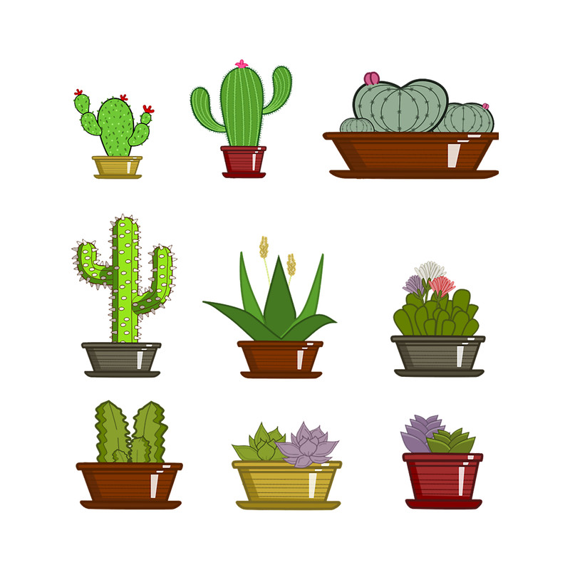 Cacti and succulents.png