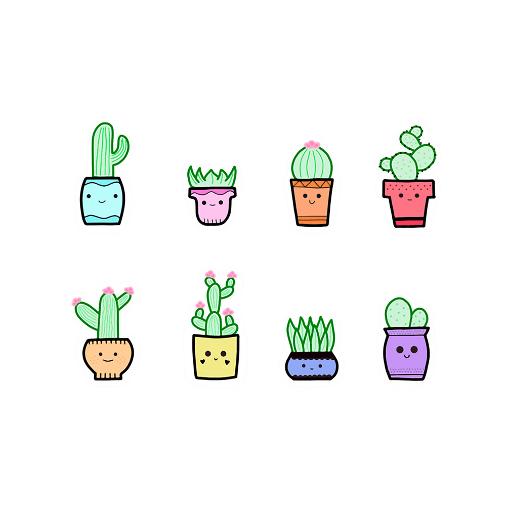 Cacti s.png