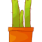 Happy Cacti (1).png