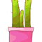 Happy Cacti (2).png