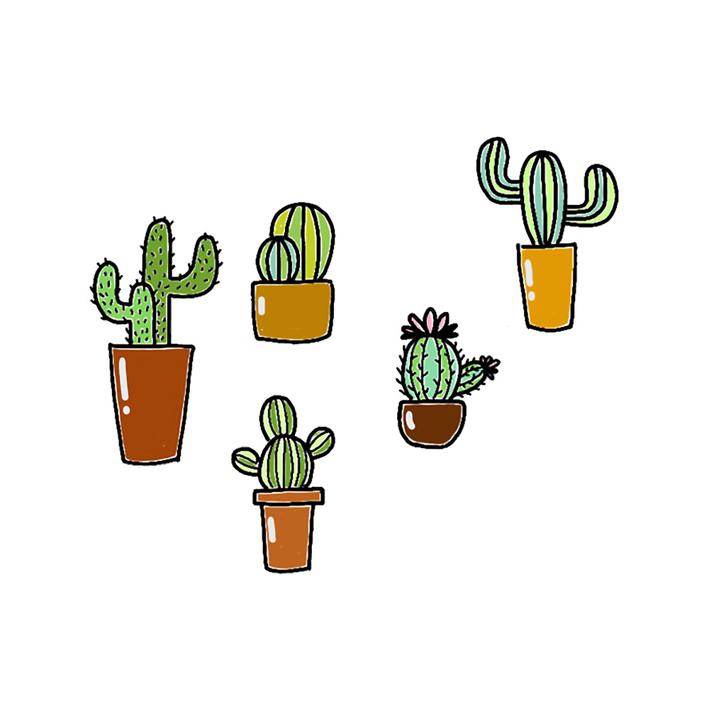 Happy Cacti.png