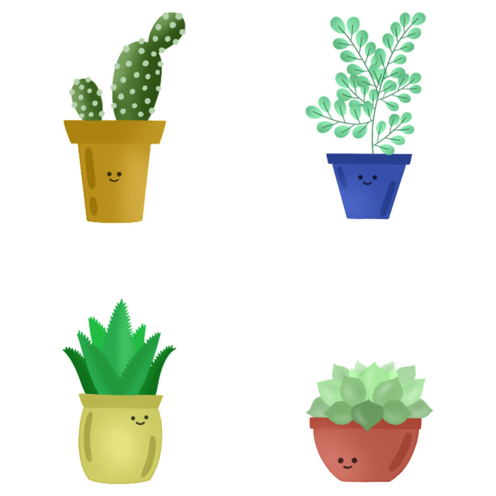 Happy Succulent Pack.png