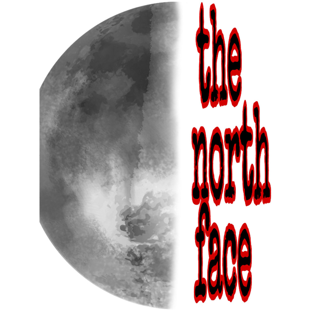 the north face (1).png
