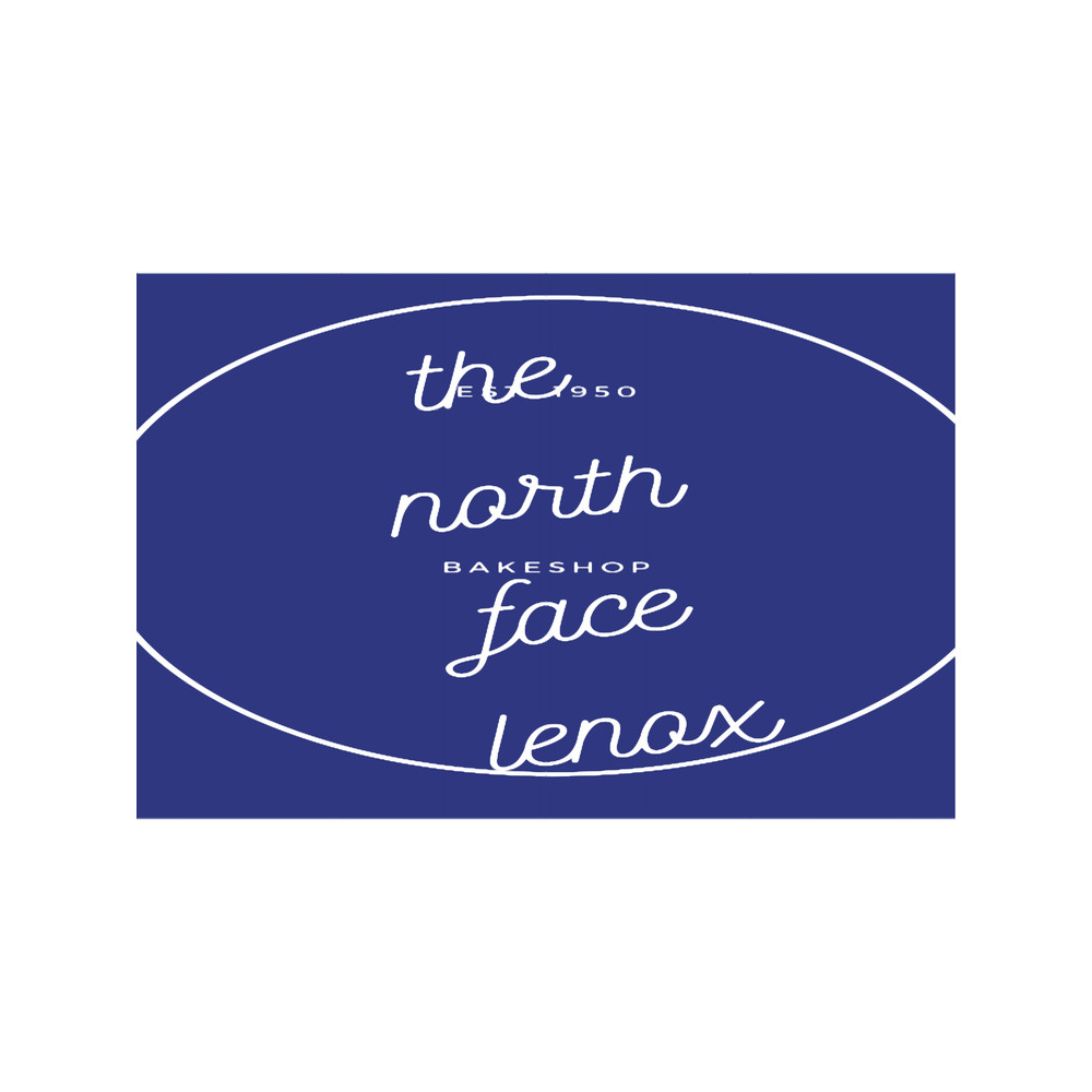 the north face lenox - good marque..png