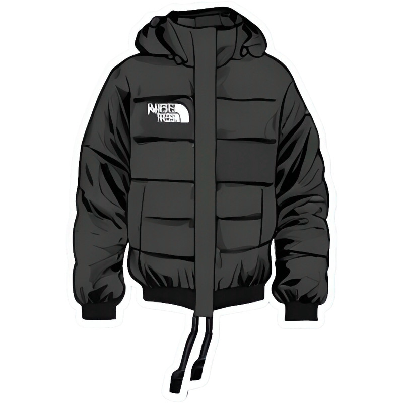 Winter Puffer Coat Northface Style Jacket.png