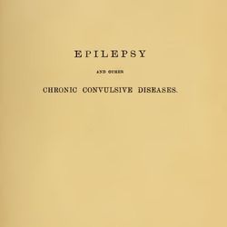 Epilepsy and Other Chronic Convulsive Diseases 1901