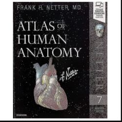 Atlas of Human Anatomy 7th Edition 7 DOWNLOAD