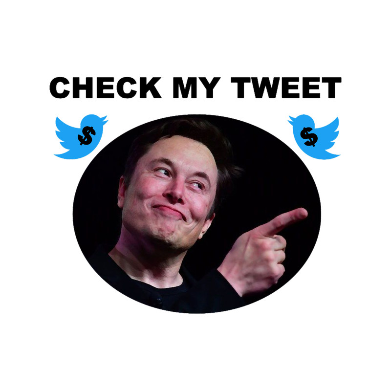 Elon Musk Tweet  .png
