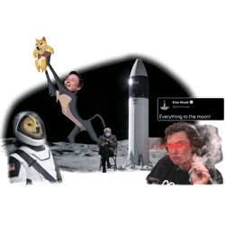 everything to the moon elon musk meme